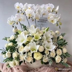 Orchid Cascade Bloom