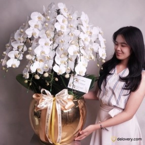 Orchid Horizon Grand