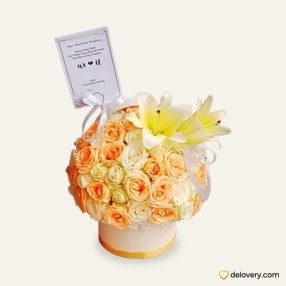 Peach Land Box