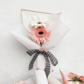 Petal Pair