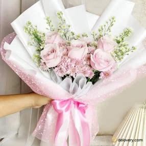 Pink Aster Harmony