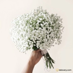 Pure Baby Breath Cloud