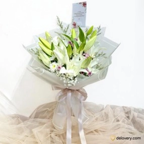 Pureveil Lily