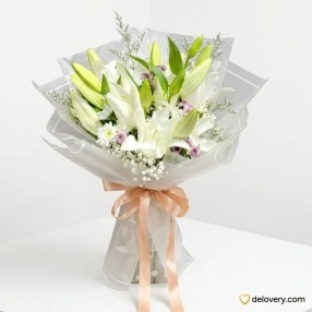 Pureveil Lily