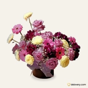 Romance Passion
