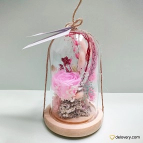 Rosé Dream Capsule