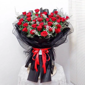  Rose Allure