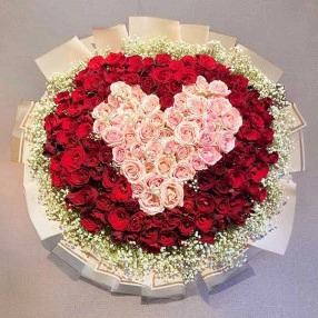 Rose Velvet