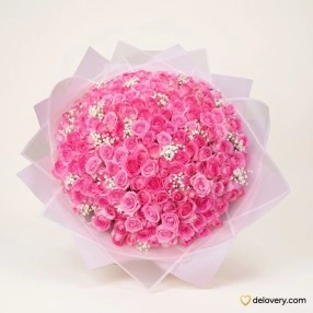 Rosy Blush Romance