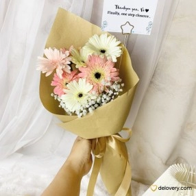 Rosy Gerbera Daylight