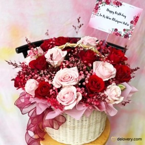 Rosy Glare Bloom