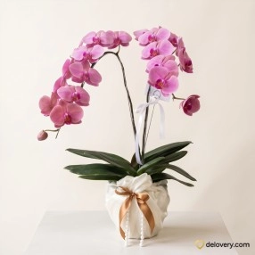 Royal Pink Cascade
