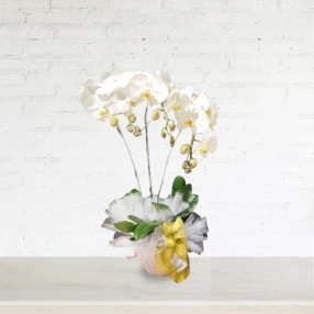 Pure Orchid