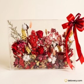 Scarlet Terrarium Haven