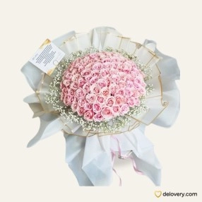 Secret Admirer #1 - 100 Stems Rose