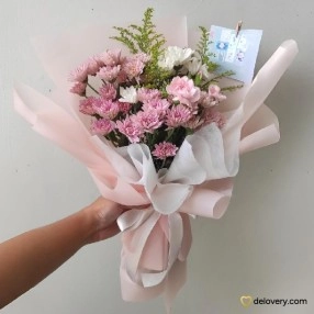 Serene Aster Dream