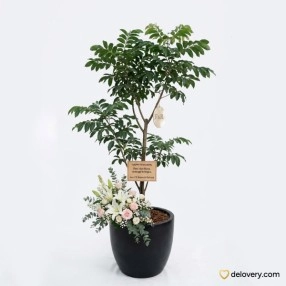 Serene Botanical Tribute