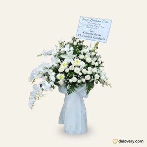 Shymphony in White