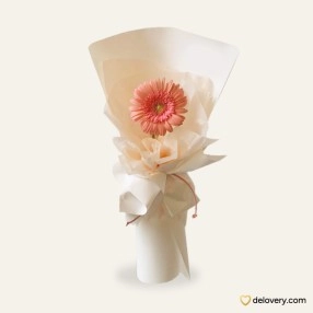 Single of Gerbera