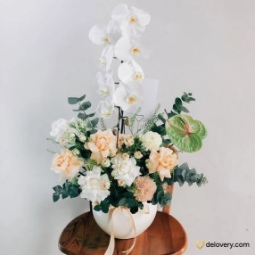 Soft Harmony Glow