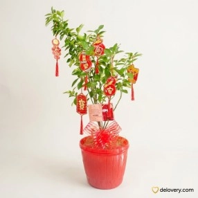 Sonkit Fortune Tree