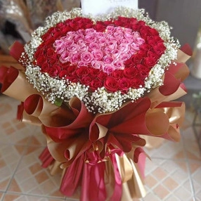 Sparky Red Rose