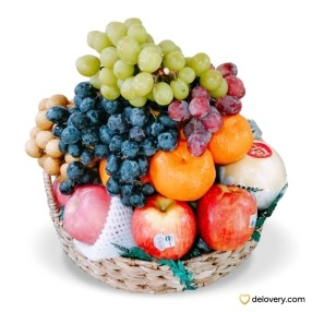 Speedy Recovery Basket