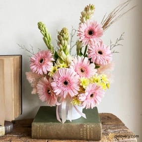 Sweet Gerbera Glow