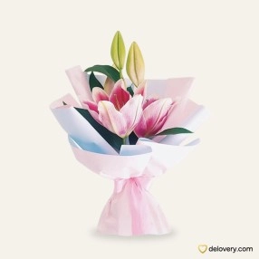 Sweet Lily 