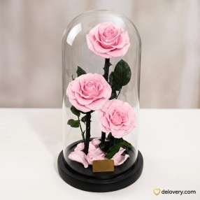 Sweet Pink Serenity
