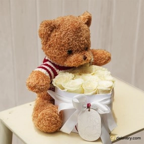 Teddy’s Blossom