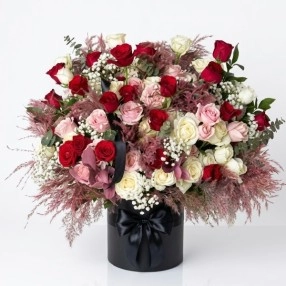 Tender Petals