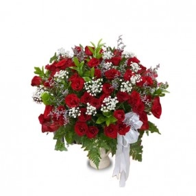 Romantic Rose