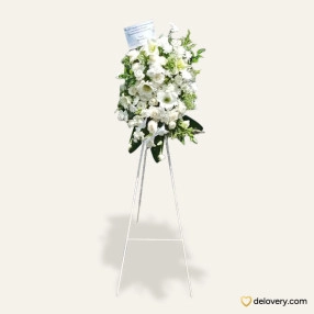 Timeless Beautyin White