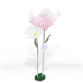Upright Blooms