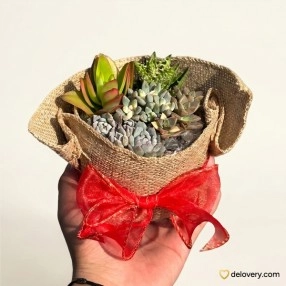 Urban Succulent Burlap