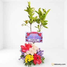 Velvet Jackfruit Bloom