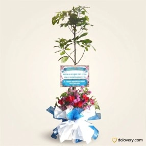 Verdant Growth Celebration