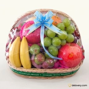 Vibrant & Fresh