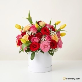 Vivid Tulip Harmony