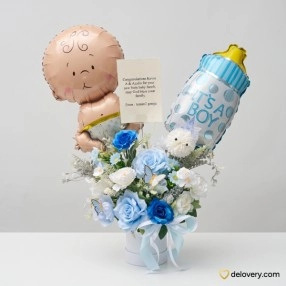 Welcome Little Prince