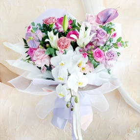Whispers of Blooms
