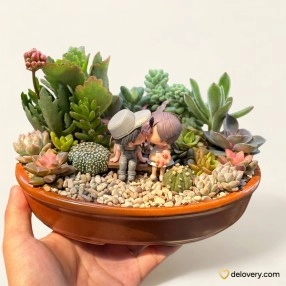 Zen Couple Succulent